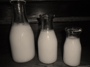 Panhurst Farms Milk Bottles