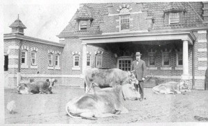 Roberts LeBoutillier in Barnyard
